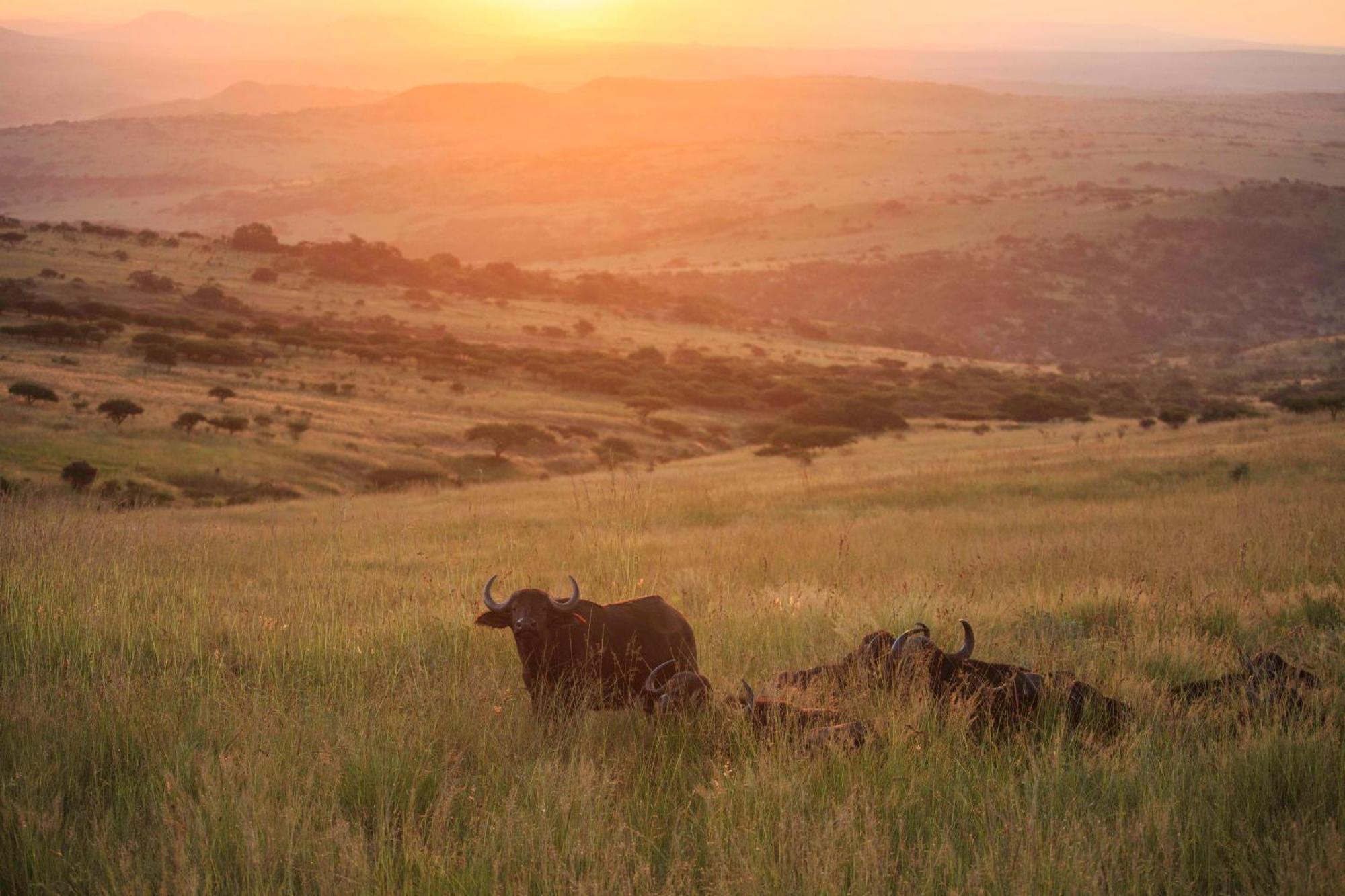 Valley Lodge - Babanango Game Reserve Dundee Esterno foto